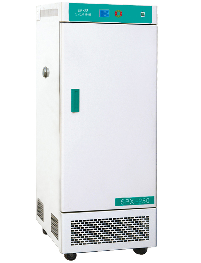 Labor Biologischer Inkubator mit konstanter Temperatur