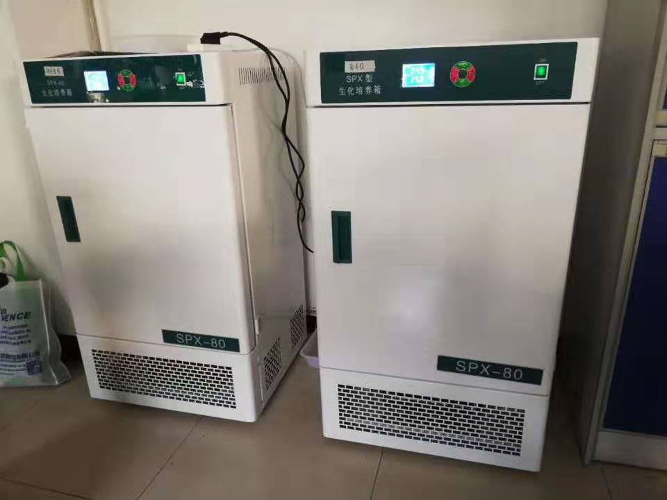 Biochemischer Inkubator konstantem Temperatur