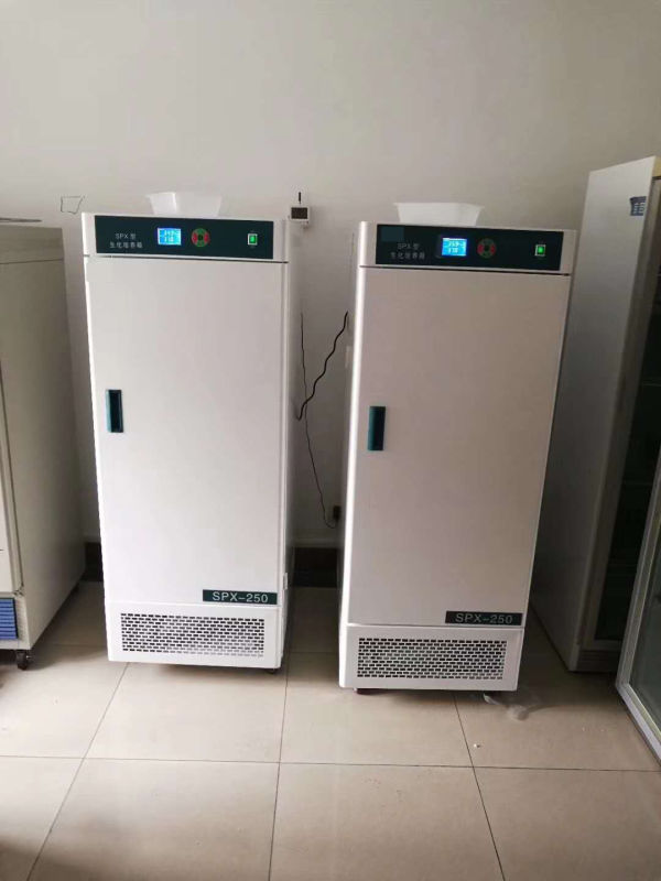 Biochemischer Inkubator
