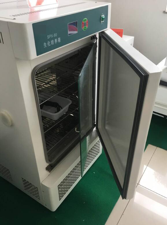 Laborbiochemischer Inkubator